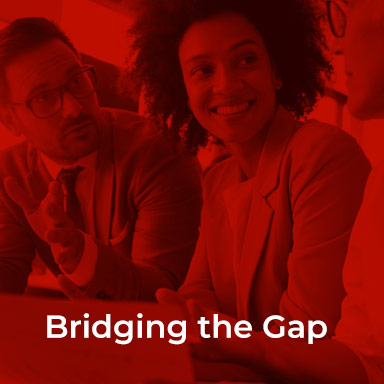 bridging-the-cap